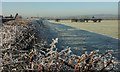 Frost, River View Farm