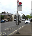 Hampton Court Gardens bus stop, East Molesey