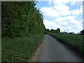 Road towards Shelly Priory Farm