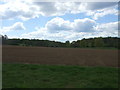 Field near Valley Farm