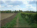 TM0632 : Farm track (footpath), Dedham by JThomas