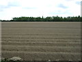 Furrowed field near Cattsgreen Farm