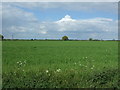 Farmland near Norman