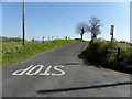 Glenbane Road, Lackagh