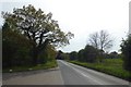 Springs Lane near the B1224