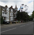 Riverbank houses, East Molesey