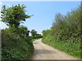 Road near Rejerrah