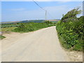 Wind-swept road to Mount