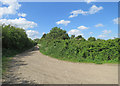 Rampton Road at the entrance to Brookfield Farm