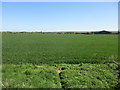 View towards Slingsby Carr House Farm