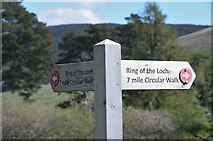 NT2320 : Ring of the Loch signpost, St Mary's Loch by Jim Barton