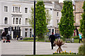 Looking across The Square towards Bridge Buildings, Barnstaple