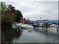 SU8985 : Boats near Cookham Bridge by Paul Gillett