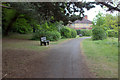 Hill End garden of rest looking eastwards