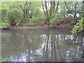 TL9220 : Pond by bridleway near Hogget's farm, Birch by Mr James D
