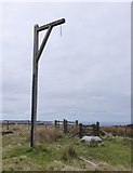 NY9690 : Winter's Gibbet by Russel Wills