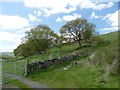 The Cown Edge Way at Smithy Lane Farm