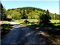 Heading towards Knockmany Hill