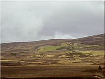 NH9934 : View Across Dava Moor towards Carn Ruig Chorrach by David Dixon