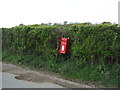 Elizabeth II postbox on Pages Lane