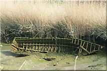 TQ4383 : View of a boat wreck in Hand Trough Creek #2 by Robert Lamb