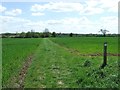 Footpath And Marker