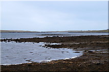 HP6208 : Coastline along the voe shore, Ordaal, Baltasound by Mike Pennington