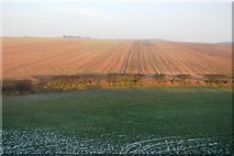 TA1473 : Farmland and hedge by N Chadwick
