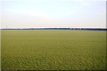TA1373 : A large field by N Chadwick