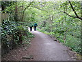 Footpath above Midgeley Wood near Baildon