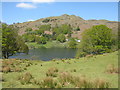 NY3404 : Loughrigg Tarn by G Laird
