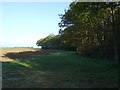 Field margin beside Bowshots Wood