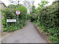 Creeping Lane at Tolcarne