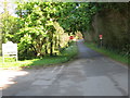 South Drive at Tehidy Country Park