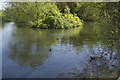 Allestree Upper Lake