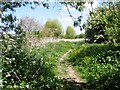 Circular walk on Whitlingham Marsh