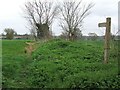 Footpath And Sign