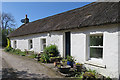 Thatch and a Satellite Dish