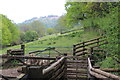 Hillside pasture near Ynys Hywel farm