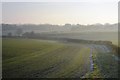 Hedge and headland strip