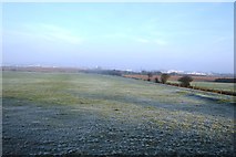TA0382 : Frosty grassland by N Chadwick