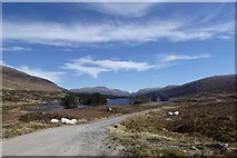 NN3666 : Loch Ossian from the west by Alan O'Dowd