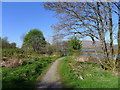 The Great Glen Way along the bank of the River Lochy