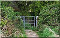 SP3609 : Kissing gate on public footpath, Cogges, Witney, Oxon by P L Chadwick