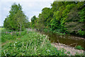 East Devon : River Otter