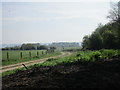 Farm track off Hudgin Lane