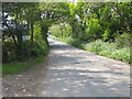 Road from Brill to Gweek near entrance to Lower Carwythenack Farm