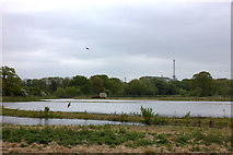 SP8142 : Flooded pits in Ouse Valley park near Wolverton by Robert Eva