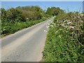 Country road near Little Hereford