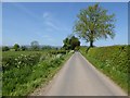 Country road near Ashford Carbonell